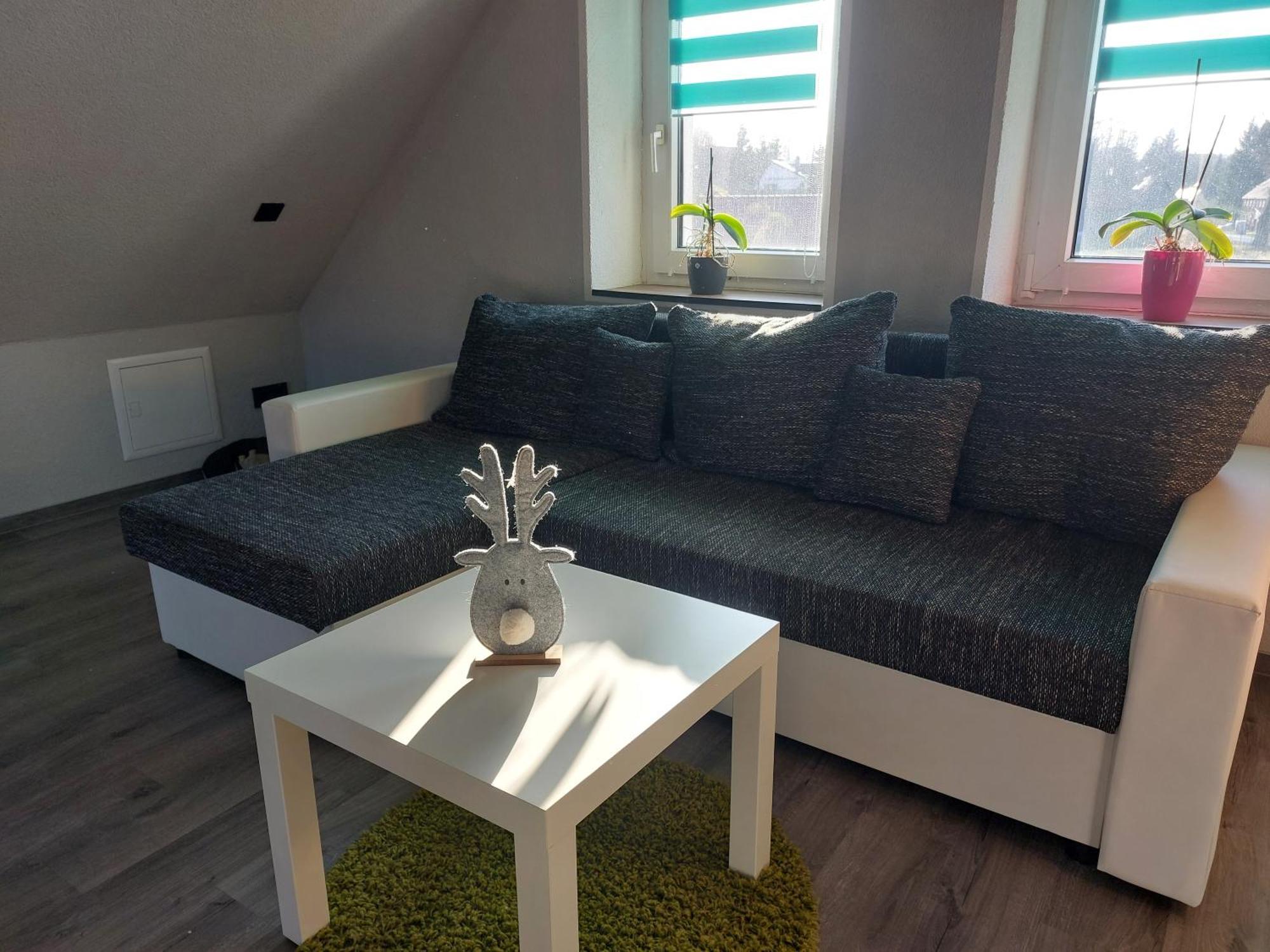Villa Haus Am Seidelberg à Durrhennersdorf Extérieur photo